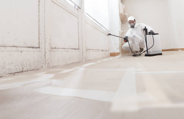 24/7 Emergency Mold Remediation experts in Fountain, NC