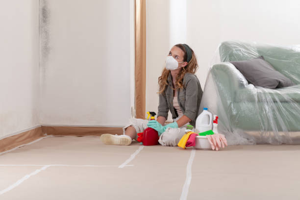 Reliable Mold Remediation contractor in Fountain, NC by Mold Remediation HQ