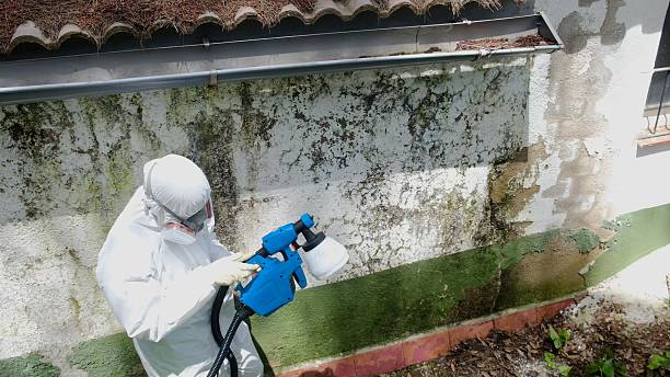 Top rated local Mold Remediation specialists in Fountain, NC